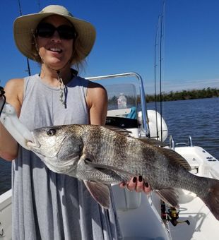 Black Drum Fishing in Goodland, FL